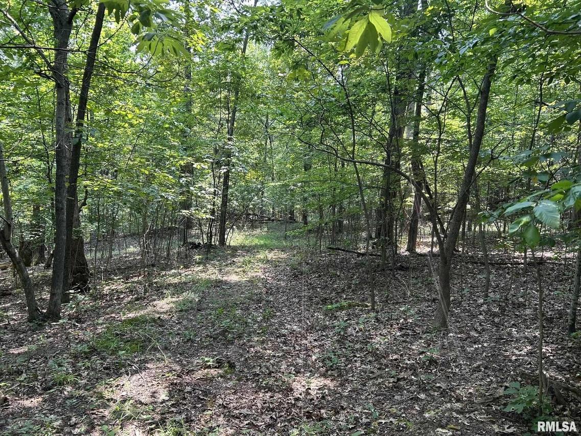 TBD Williams Ridge Ln., Cobden, IL 62920