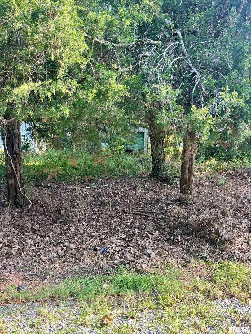 515 W Vermont St., Carterville, IL 62918