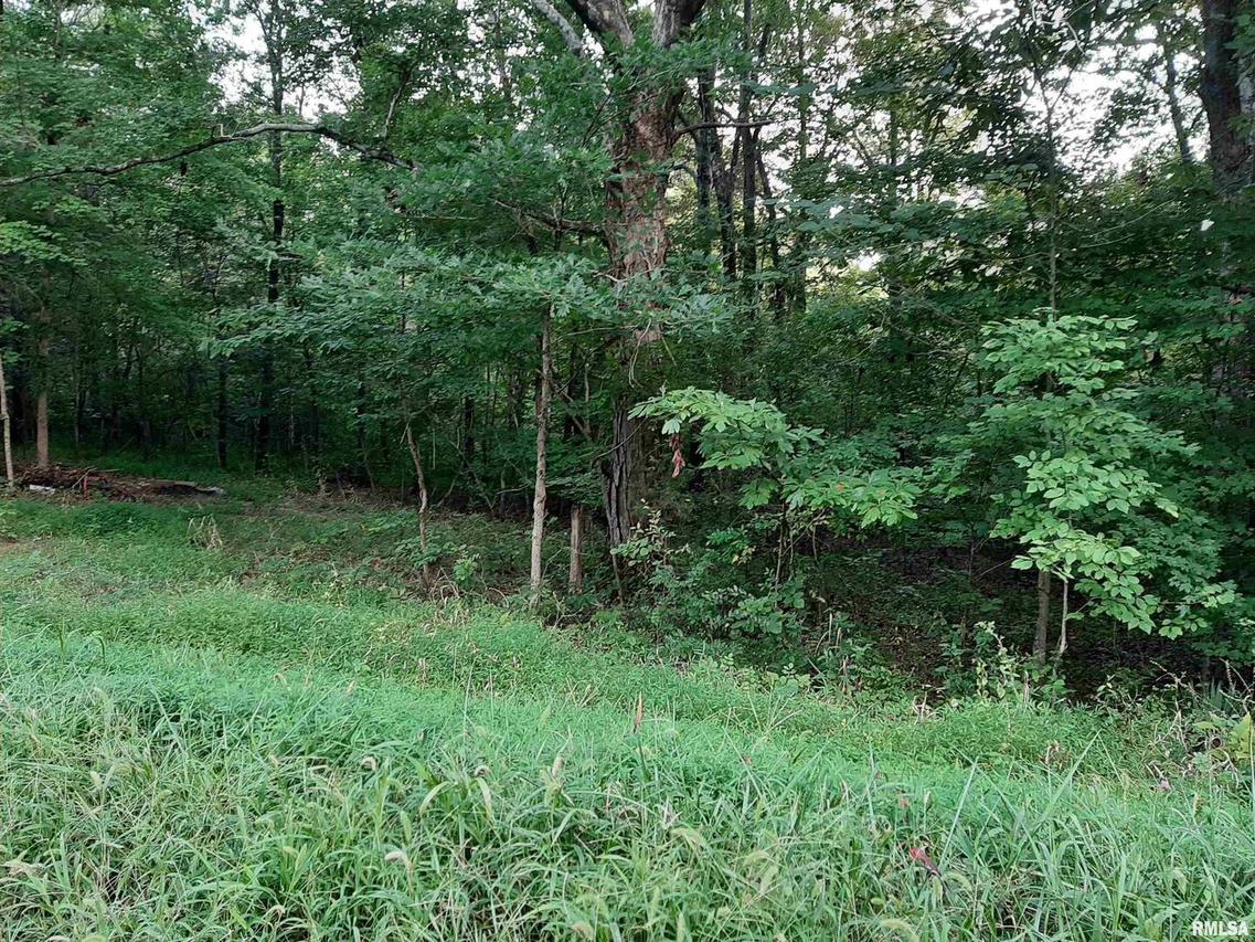 0000 Reevesville Rd., Grantsburg, IL 62943