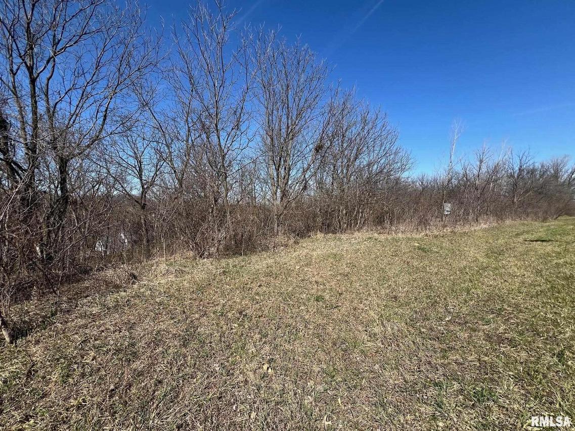Lot 1 14th St., Rock Island, IL 61201