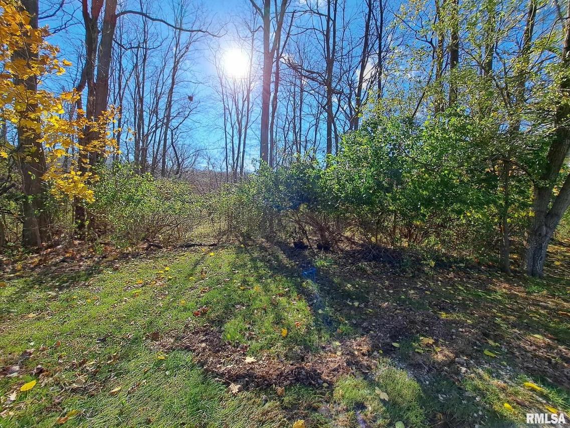 Lot 23 Scenic Hill, Port Byron, IL 61275