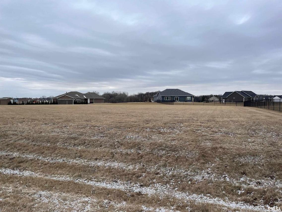 Lot 63 115th Ave., Milan, IL 61264