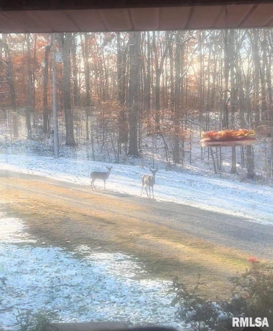 00 Maxfield Ln., Elizabethtown, IL 62931