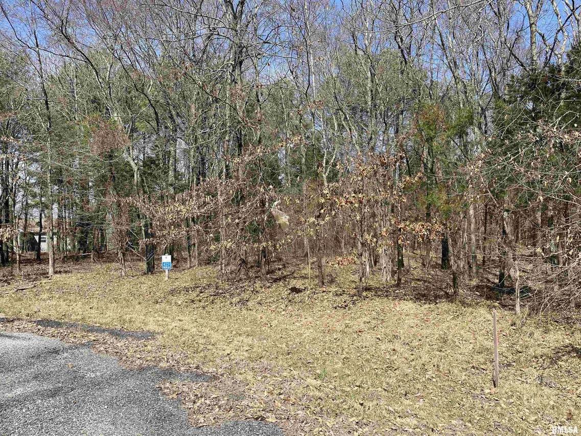 Buckeye Hill Ct., Goreville, IL 62939