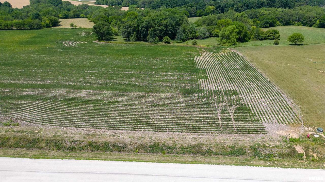 2550 Olof Krans Ave., Galva, IL 61434