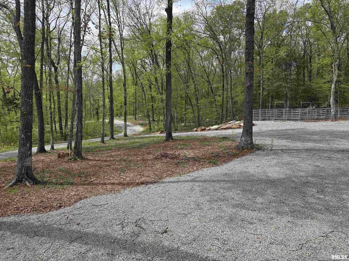 20 Shawnee Bluff Ln., Simpson, IL