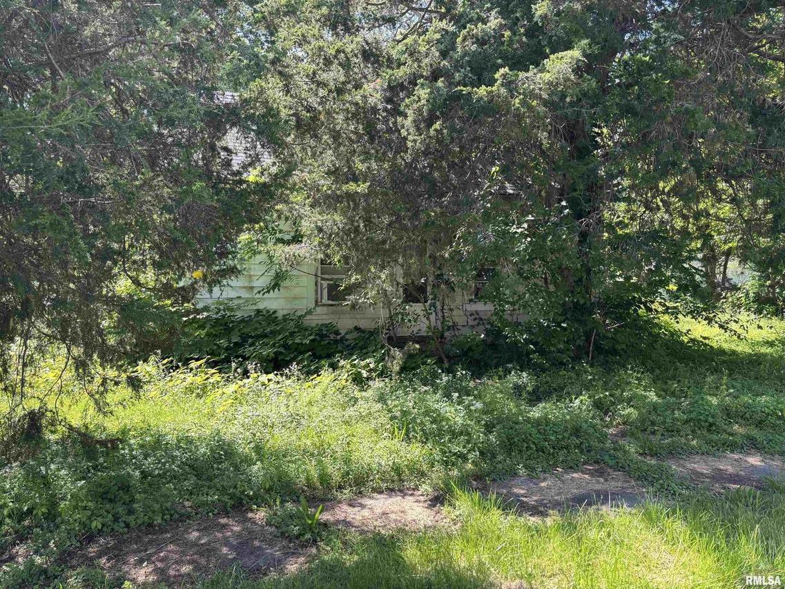 301 N 5th St., Elkville, IL 62932