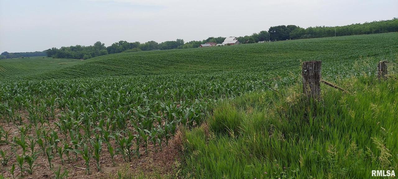 W 173rd Ave., Taylor Ridge, IL 61284