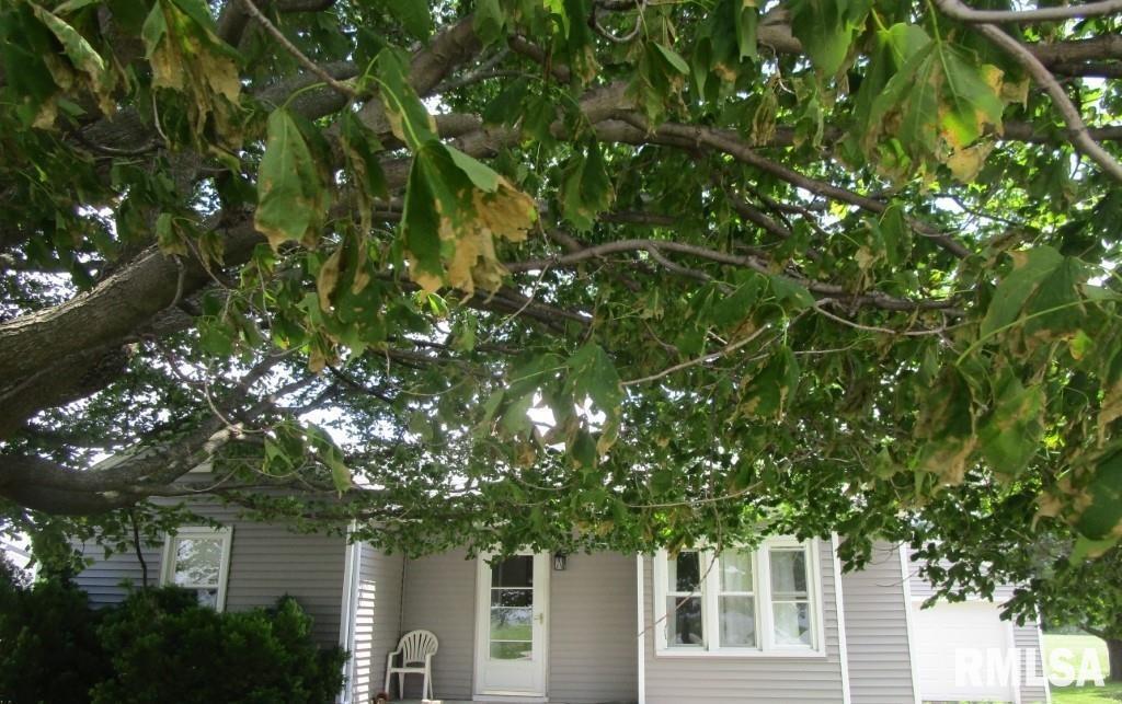 609 N 1st St., Alpha, IL 61413