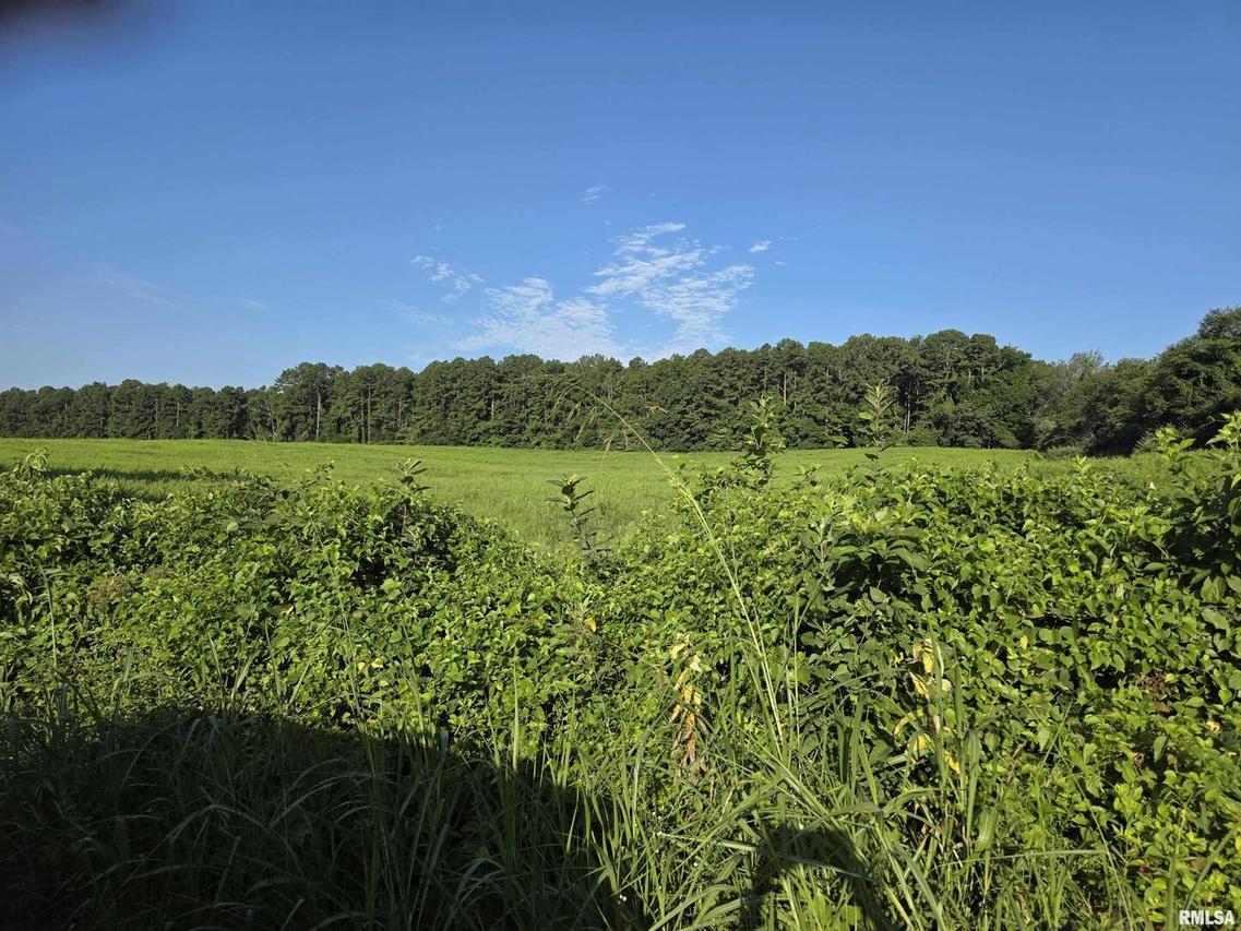 00 Catholic Church Road Rd., Golconda, IL 62938