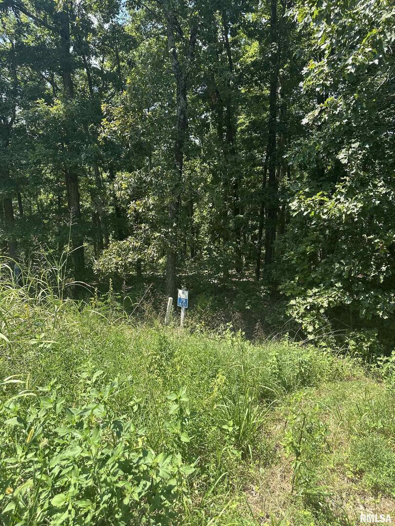 00 Hawthorne Point, Goreville, IL 62939