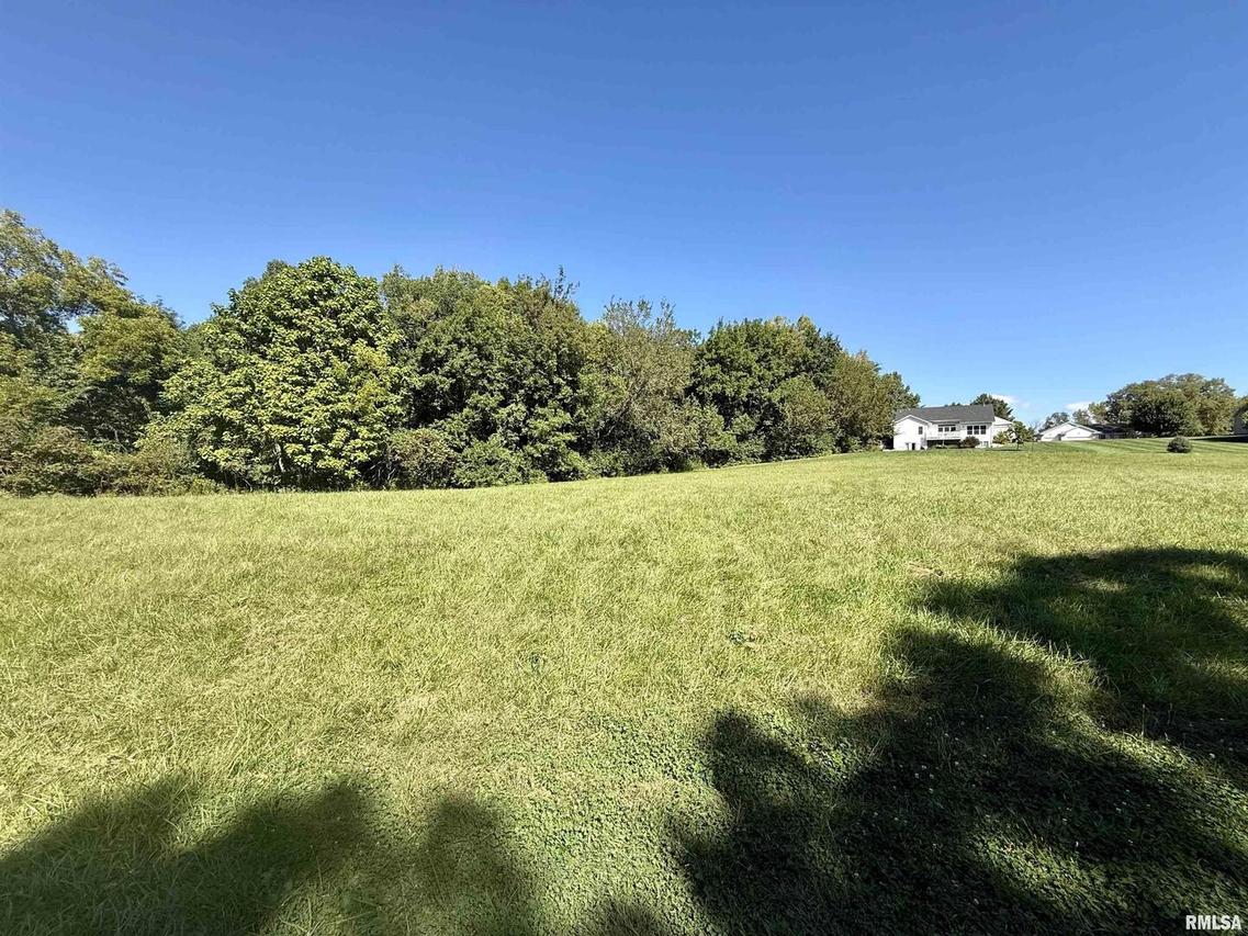Lot 3 Lakeside Dr., Port Byron, IL 61275