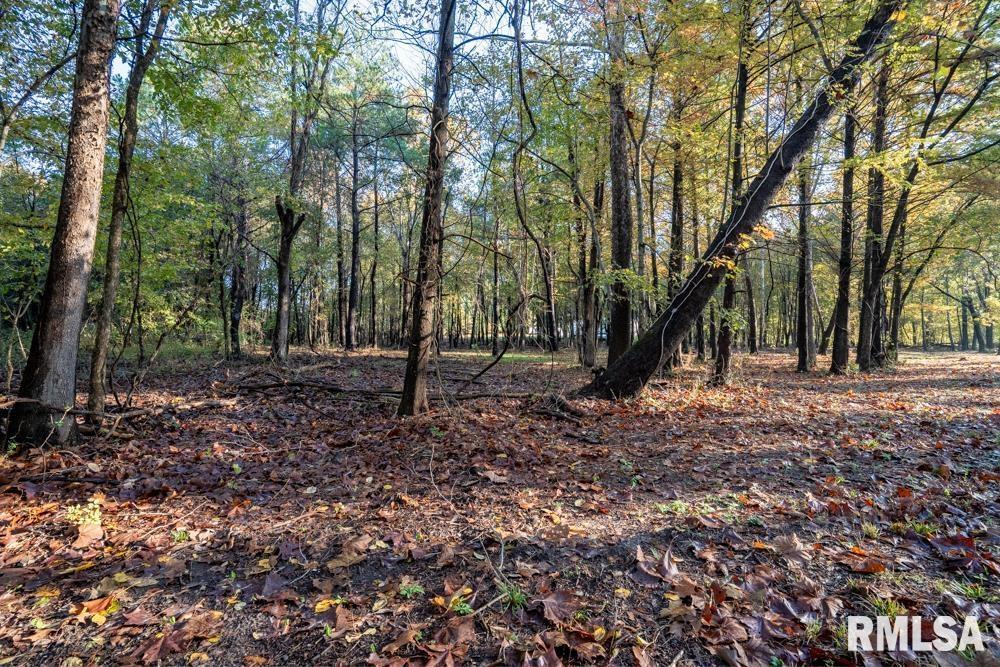 0000 Baptist Camp Rd., Carterville, IL 62918