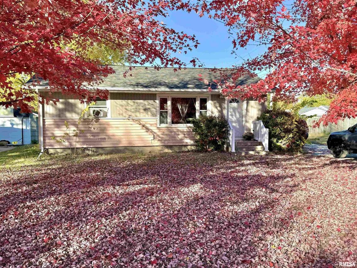 113 E 7th Ave. #A, Colona, IL 61241