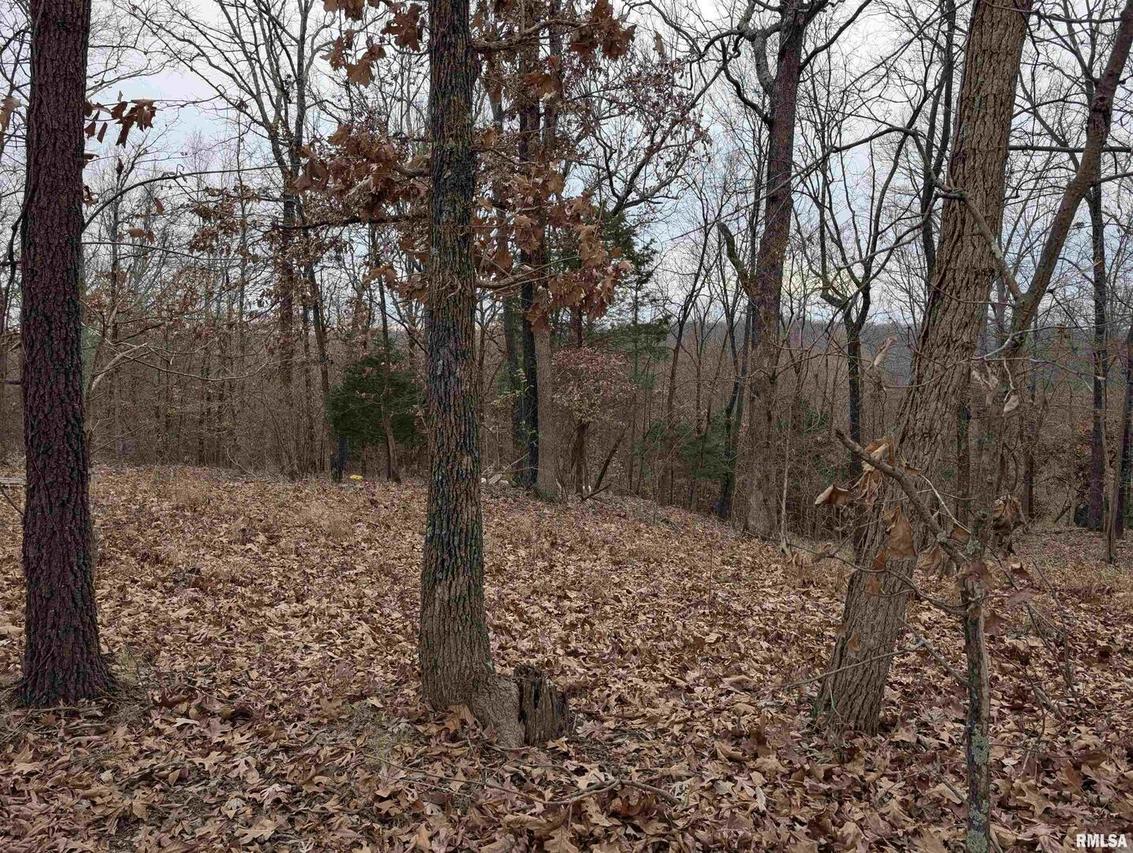 2643 Dogwood Rd., Carbondale, IL 62902