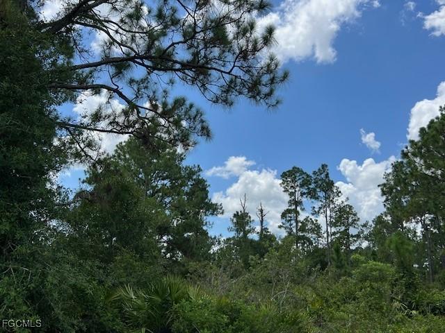 3602 E 11th St., Lehigh Acres, FL 33972