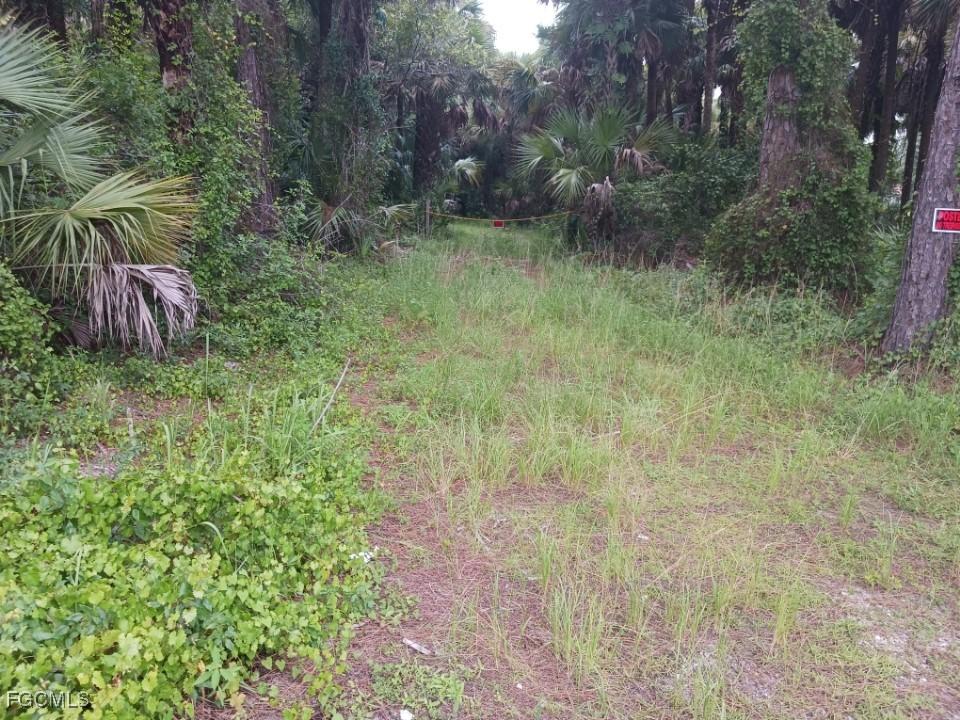 1975 Everglades Blvd., Naples, FL 34117