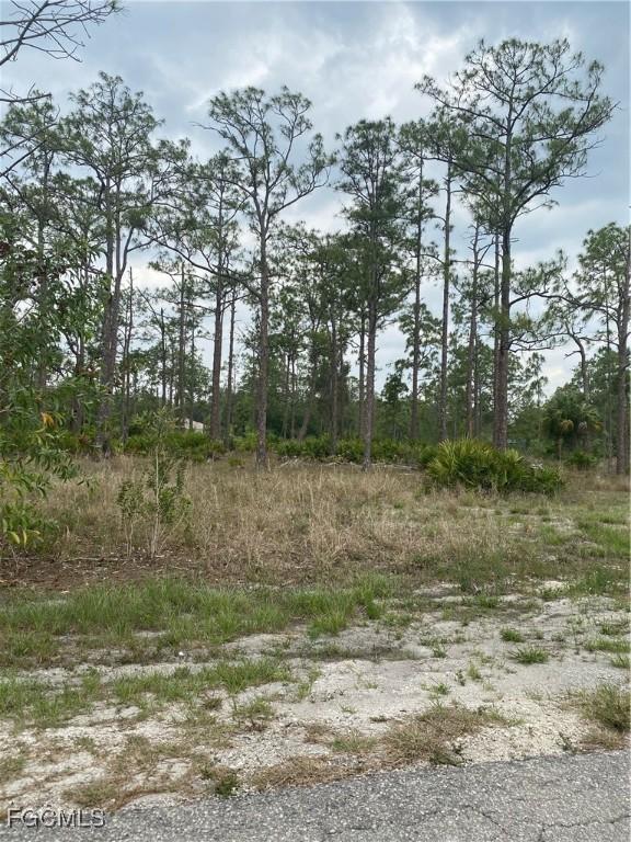 7700 Wheeler Rd., Labelle, FL 33935