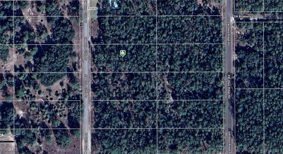 1811-016-025 SW Little Cliffs Dr., Dunnellon, FL 34431