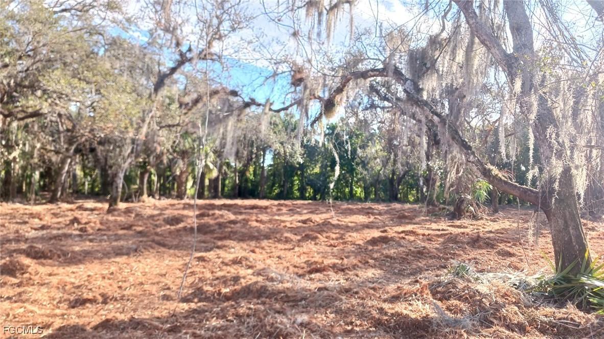 16470 B1 Daughtreys Creek Rd., North Fort Myers, FL 33917