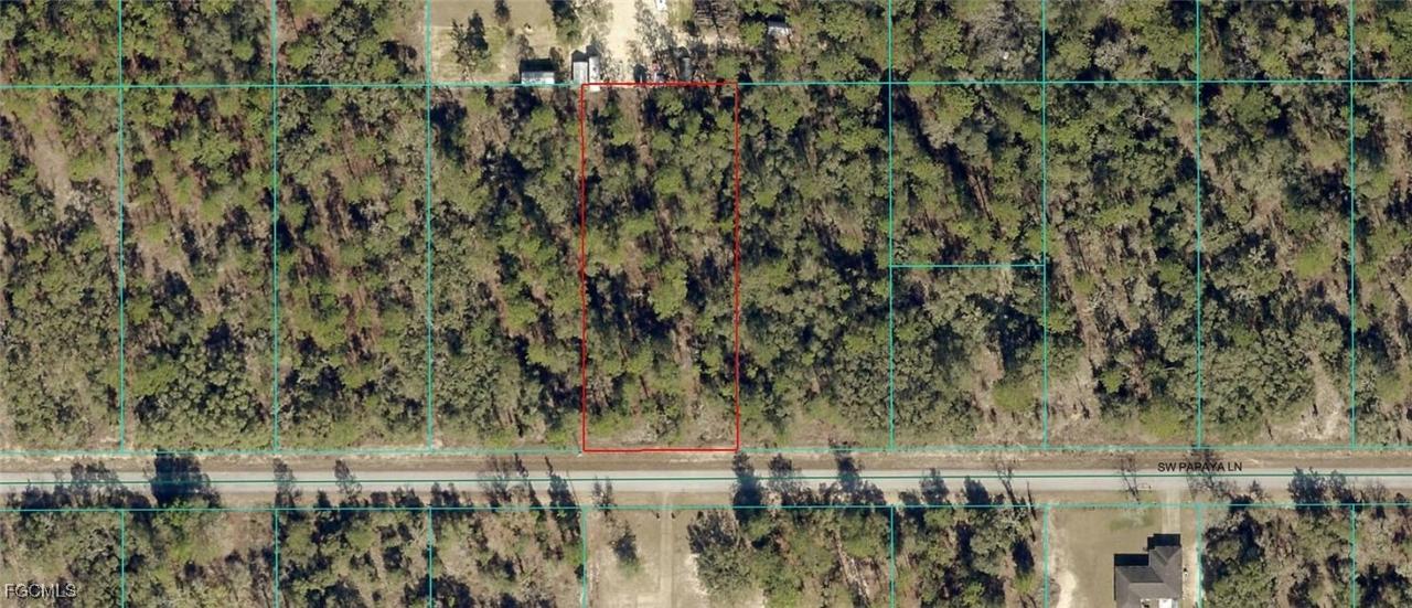 1806-002-033 SW Papaya Ln., Dunnellon, FL 34431