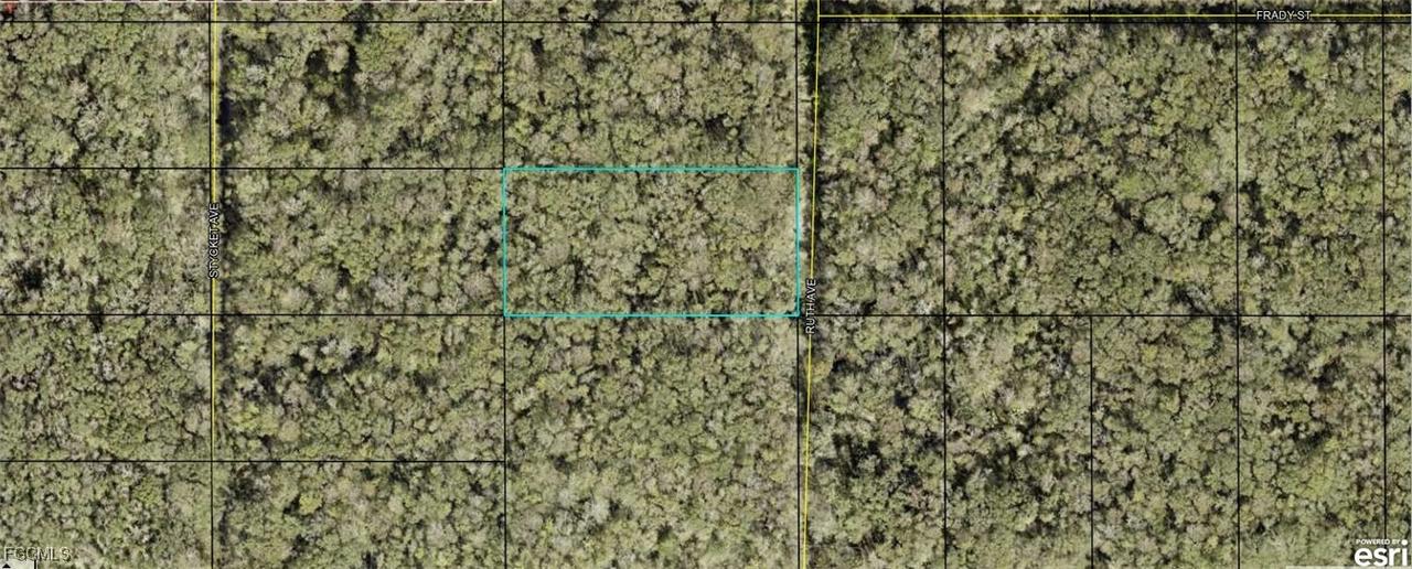 21-10-28-2775-00050-0177 Ruth Ave., Hastings, FL 32145