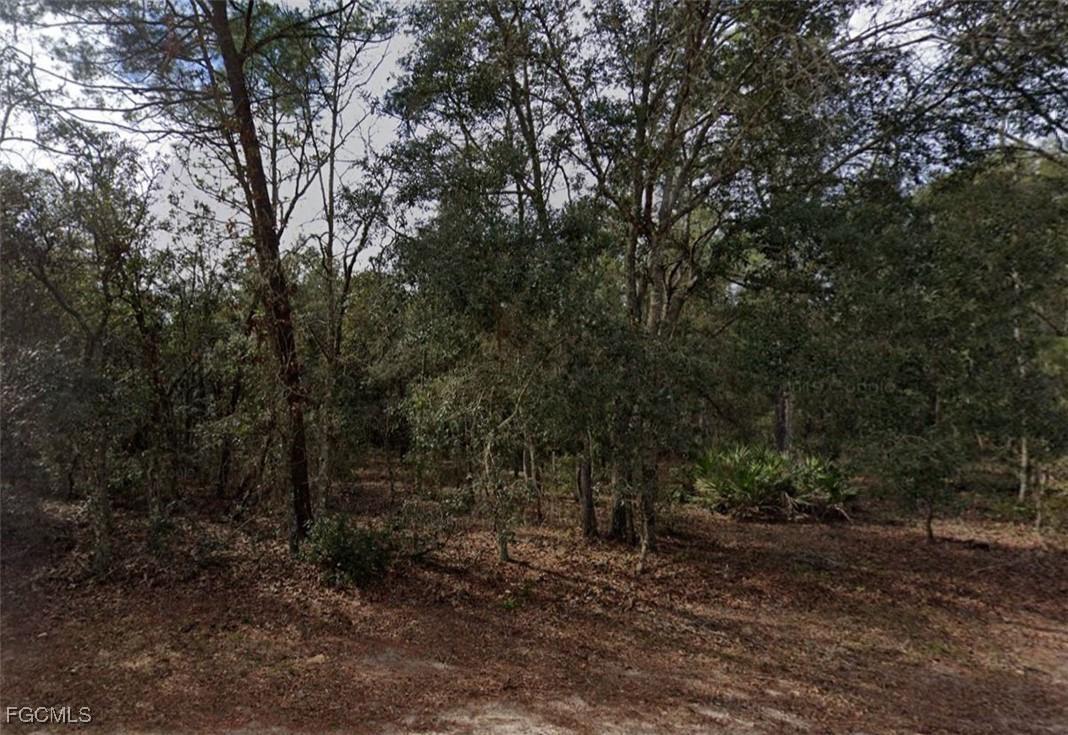 917 David Ave., Interlachen, FL 32148