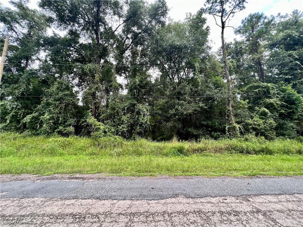 303 W Eridani Ct., Citrus Springs, FL 34494