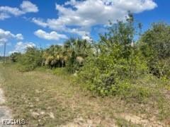 307 S Nancy Ln., Labelle, FL 33935
