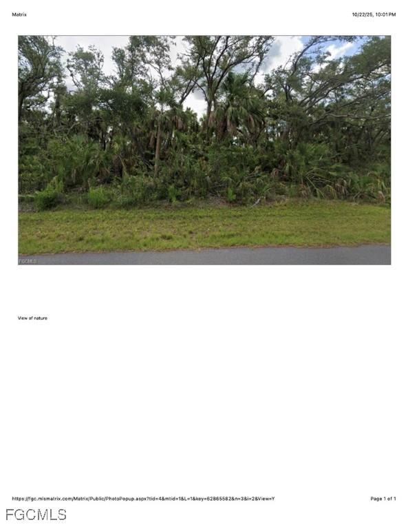 1607 Louis Ave., Lehigh Acres, FL 33972