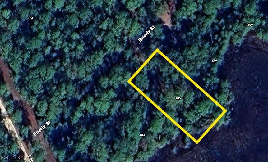 105 Brierly St., Georgetown, FL 32139