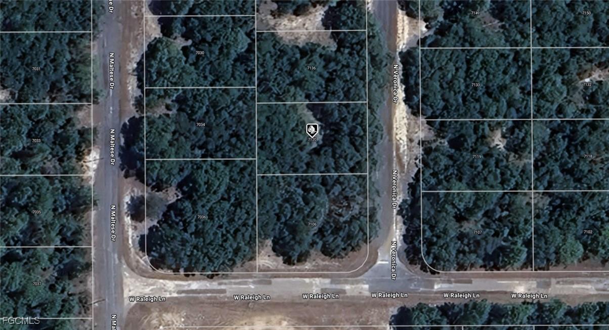 7120 N Veronica Dr., Dunnellon, FL 34433