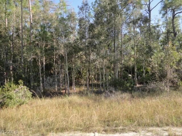 [Address Hidden by Seller], Lehigh Acres, FL 33972