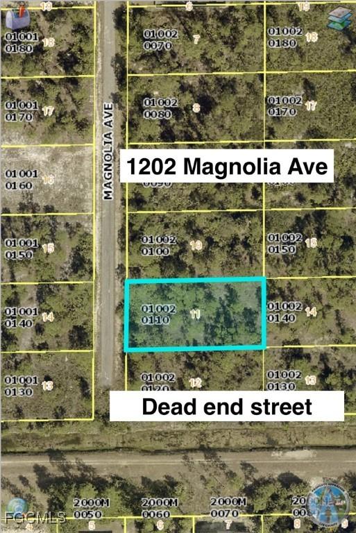 1202 Magnolia Ave., Lehigh Acres, FL 33972