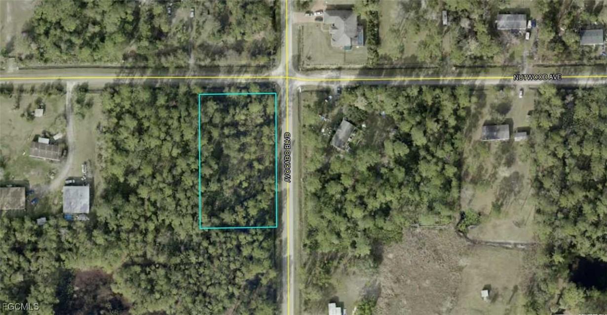 5958 Nutwood Ave., Bunnell, FL 32110