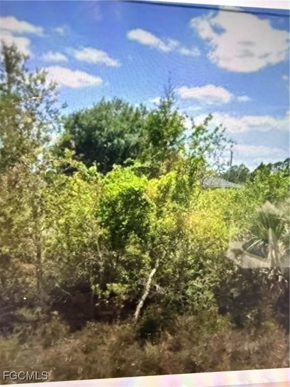 3009 54th St., Lehigh Acres, FL 33971