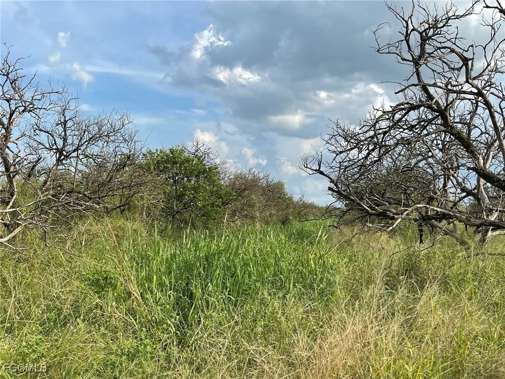 6876 5th Rd., Labelle, FL 33935