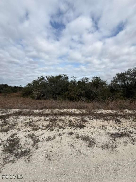 446 Fawnwood Ave., Lake Placid, FL 33852