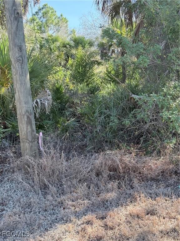 5013 Gunn St., Labelle, FL 33935