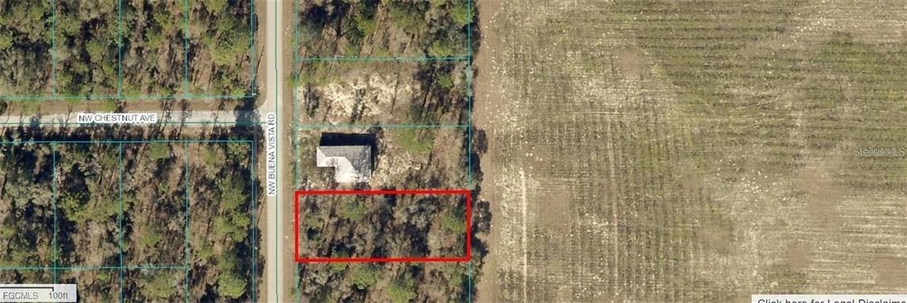 TBD NW Buena Vista Rd., Dunnellon, FL 34431