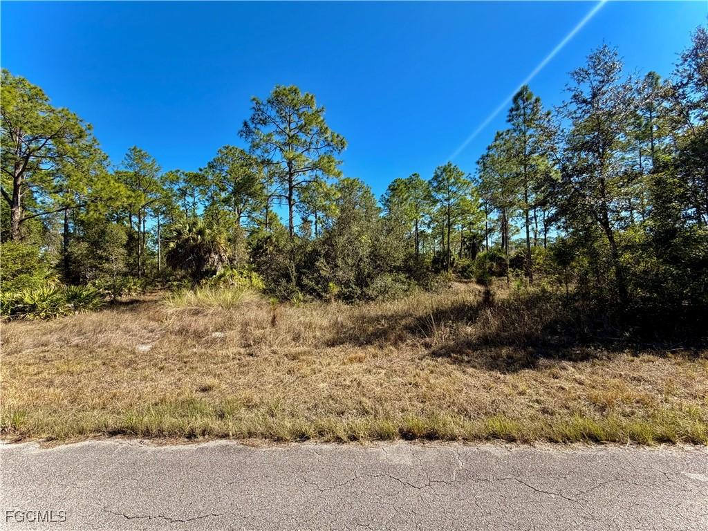 1302 Palmetto Ave., Lehigh Acres, FL 33972