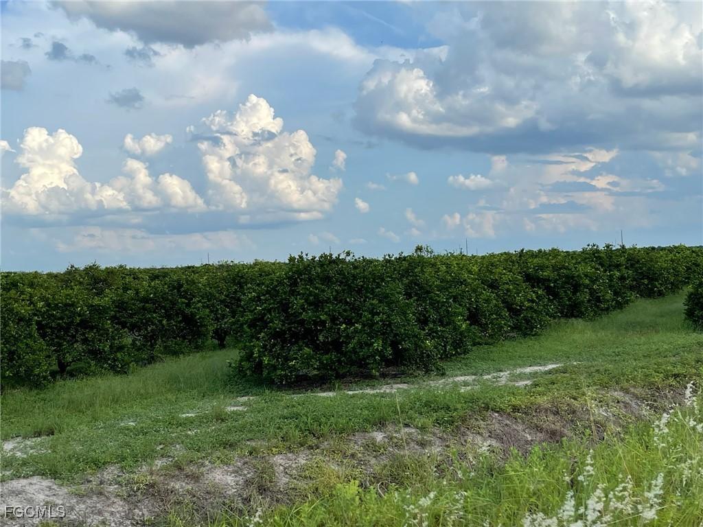 6380 + 6340 6th Rd., Labelle, FL 33935