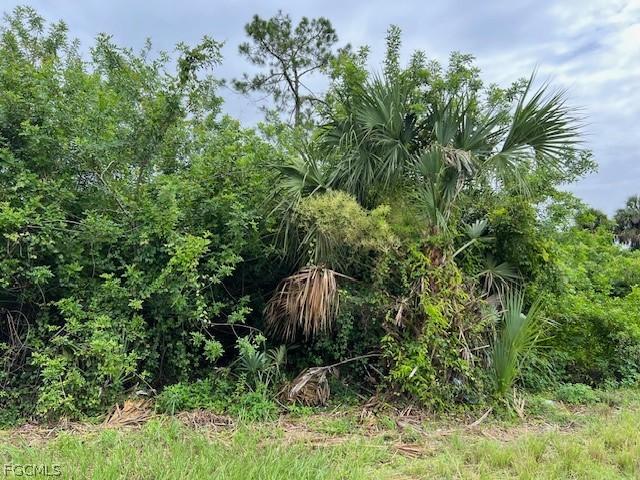 619 Clancy St., Lehigh Acres, FL 33974