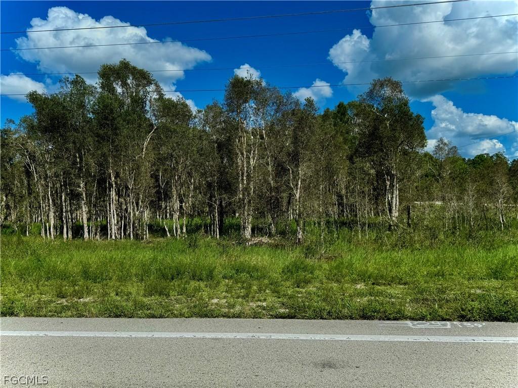 1005/1007 Homestead Rd., Lehigh Acres, FL 33974