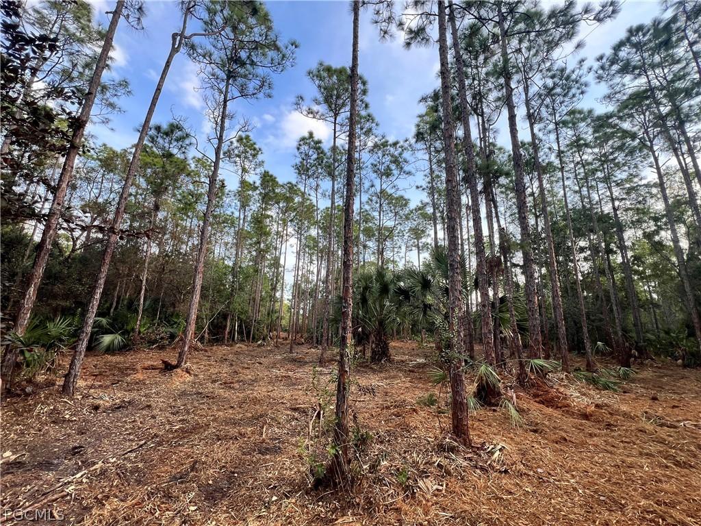 Pantera Ln, Naples, FL 34120