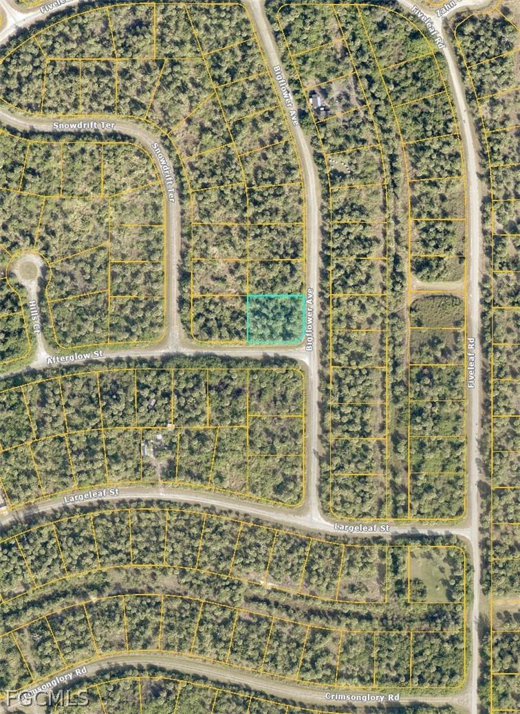 Lot 12 Bigflower Ave., North Port, FL 34288