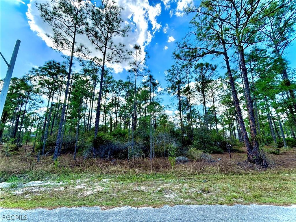 2311 Jackson Ave., Alva, FL 33920