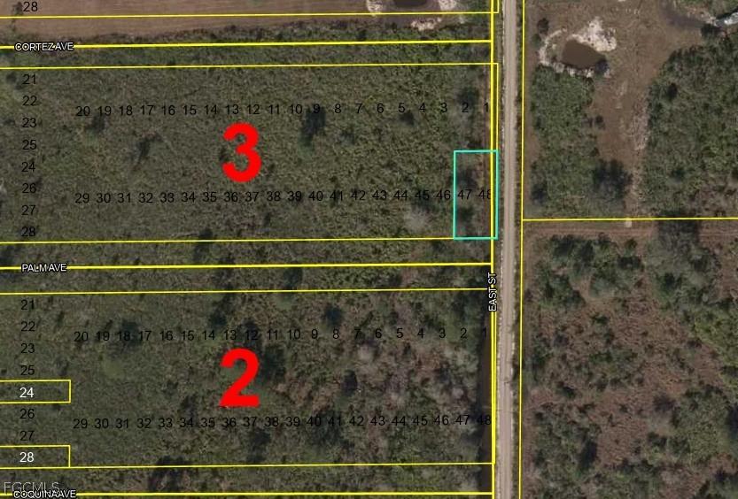 LOTS 47 + 48 Palm Ave., Labelle, FL 33935