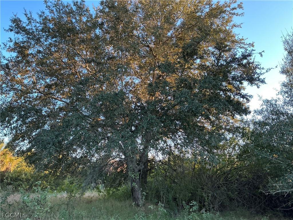 5801 4th Rd., Labelle, FL 33935