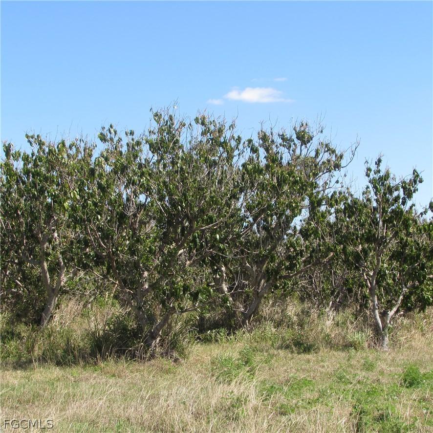 13171 Samadani Ln., Bokeelia, FL 33922